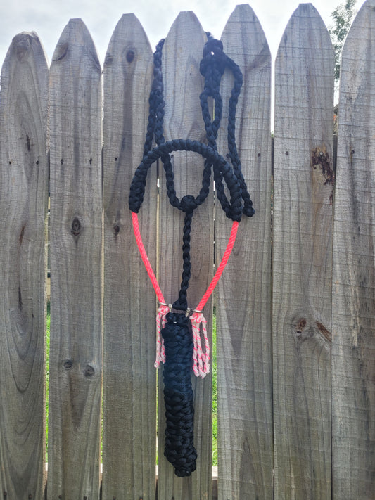 Lariat Nose Rope Halter