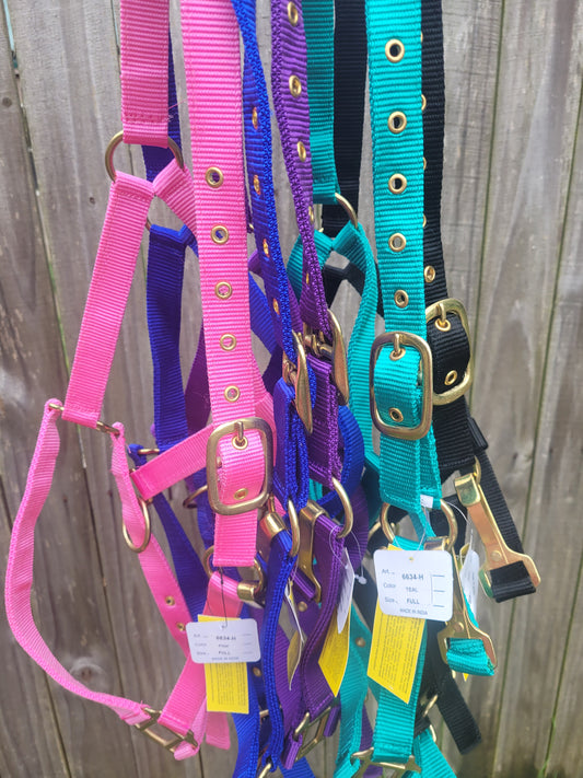 Horse Size Triple Ply Nylon Halter with Brass Hardware