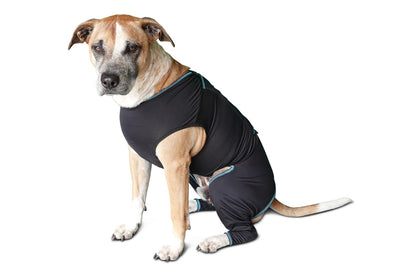 Canine Comfort Suit