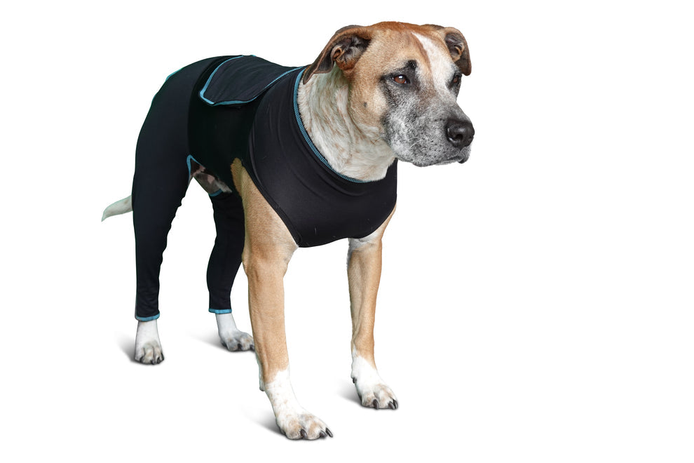 Canine Comfort Suit