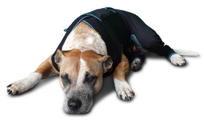 Canine Comfort Suit