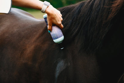 Skin Lotion