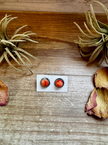 Spiny Oyster Stud Earrings – Sterling Silver
