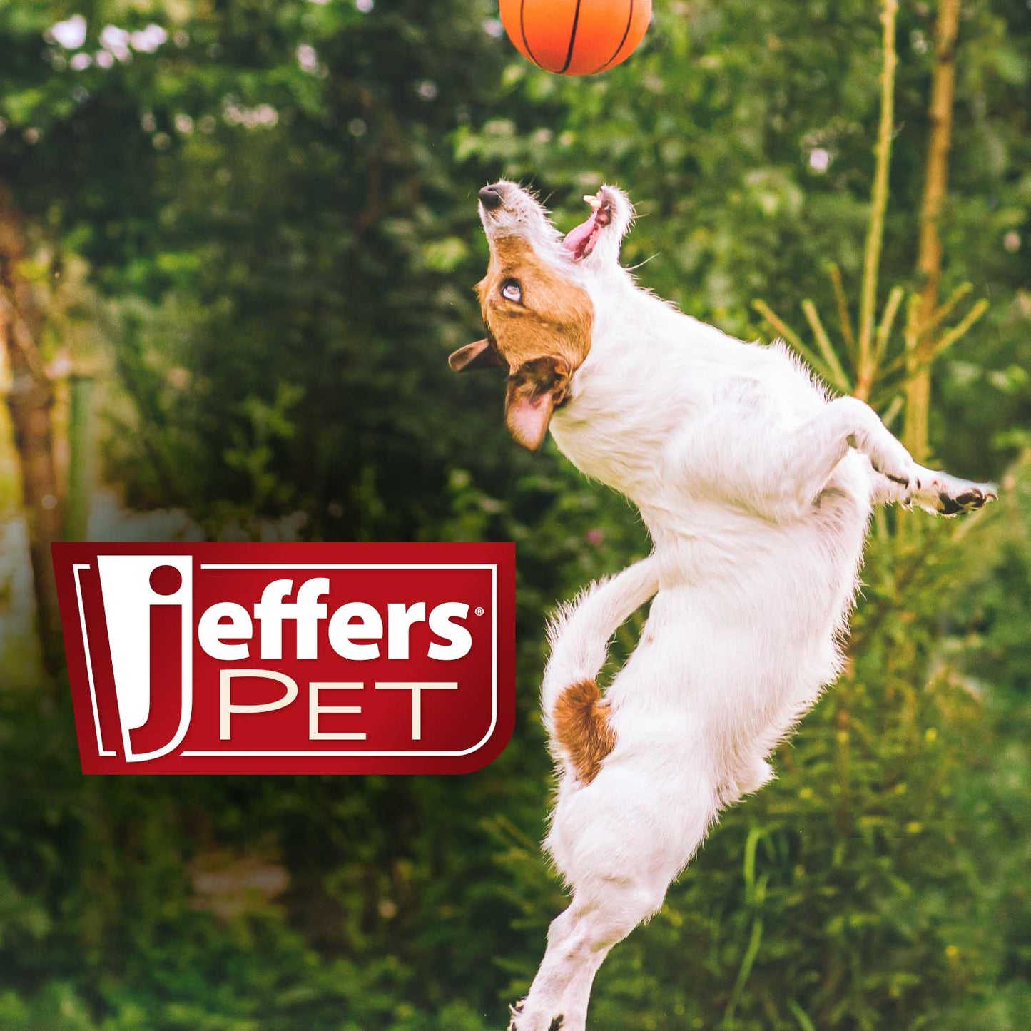 Jeffers Natural Flea & Tick Pennyroyal Pet Shampoo - Aids in Repelling Fleas, Ticks, Flies & Mosquitos
