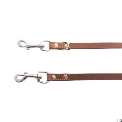 Viaje Dog Leash in Caramel