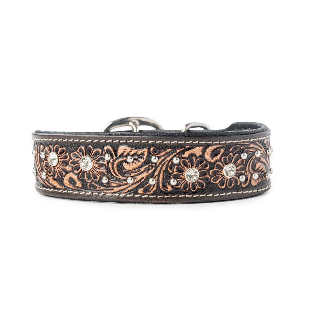 Midnight Canine Elegance Western Dog Collar in Black