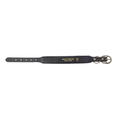 Midnight Canine Elegance Western Dog Collar in Black