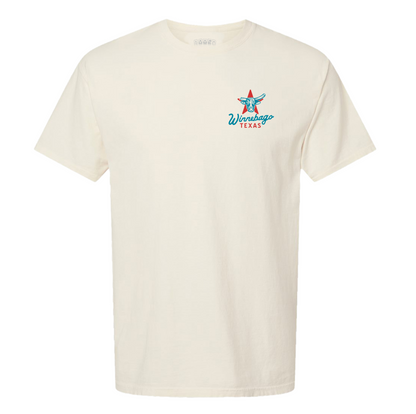 Winnebago Star T