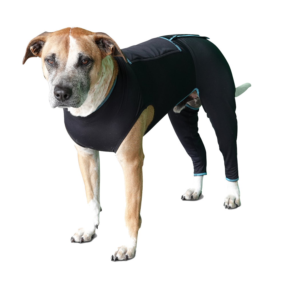 Canine Comfort Suit