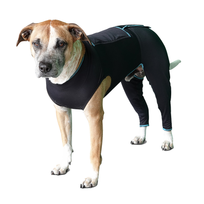 Canine Comfort Suit