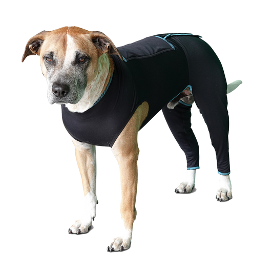 Canine Comfort Suit