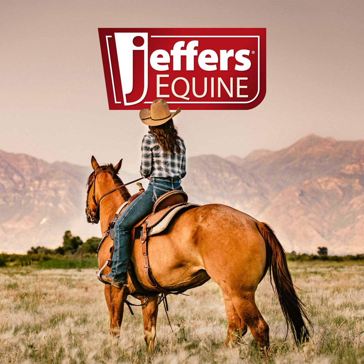 Jeffers Equine Kalaya Emu Oil Ultra Moisturizing Horse Shampoo