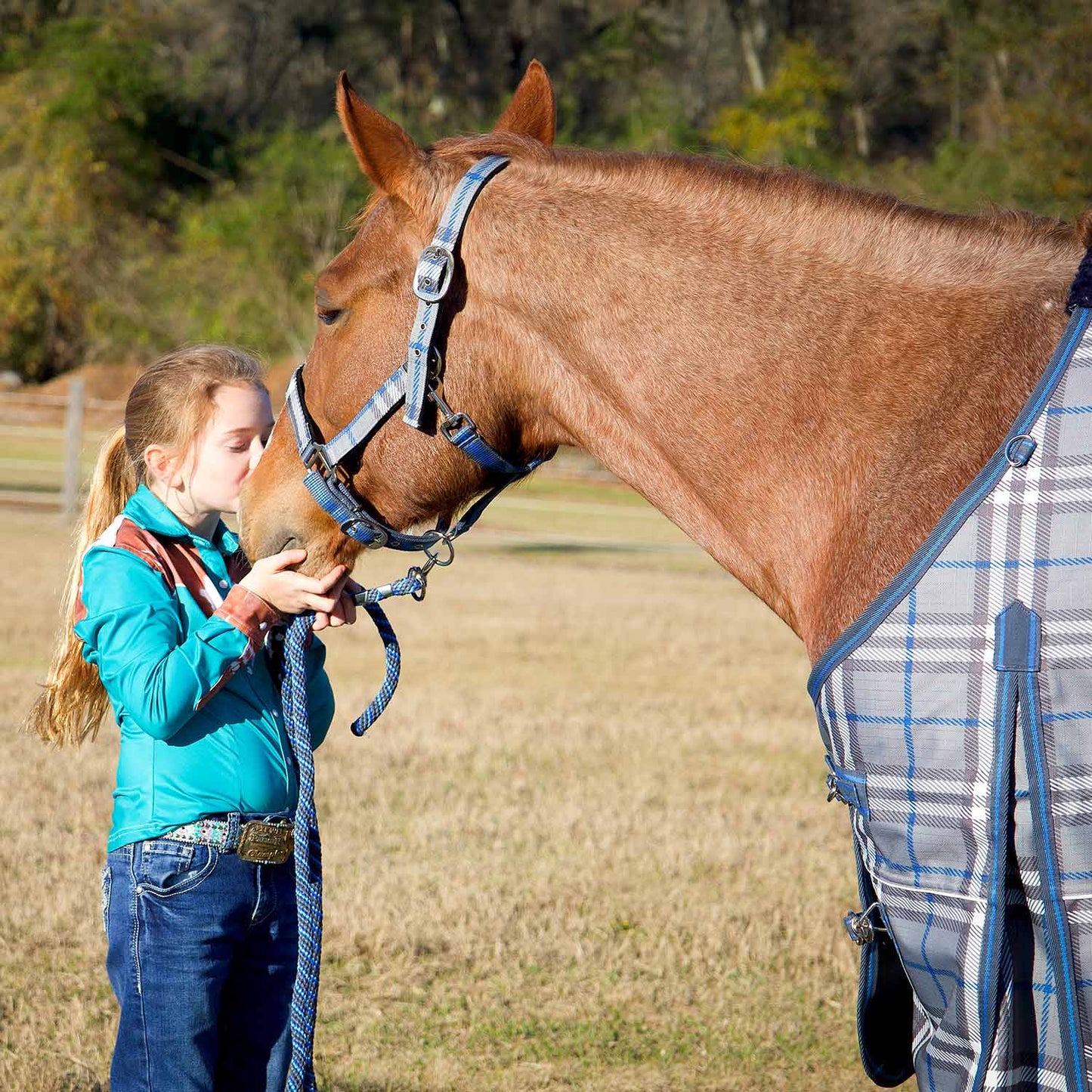 Jeffers Matching Horse Halter & Lead Rope 2 Piece Set, Full Size