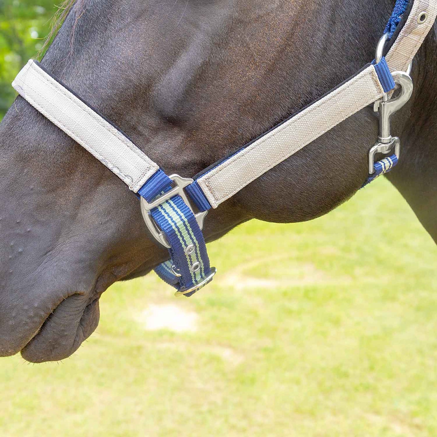 Jeffers Matching Horse Halter & Lead Rope 2 Piece Set, Full Size
