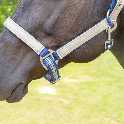Jeffers Matching Horse Halter & Lead Rope 2 Piece Set, Full Size
