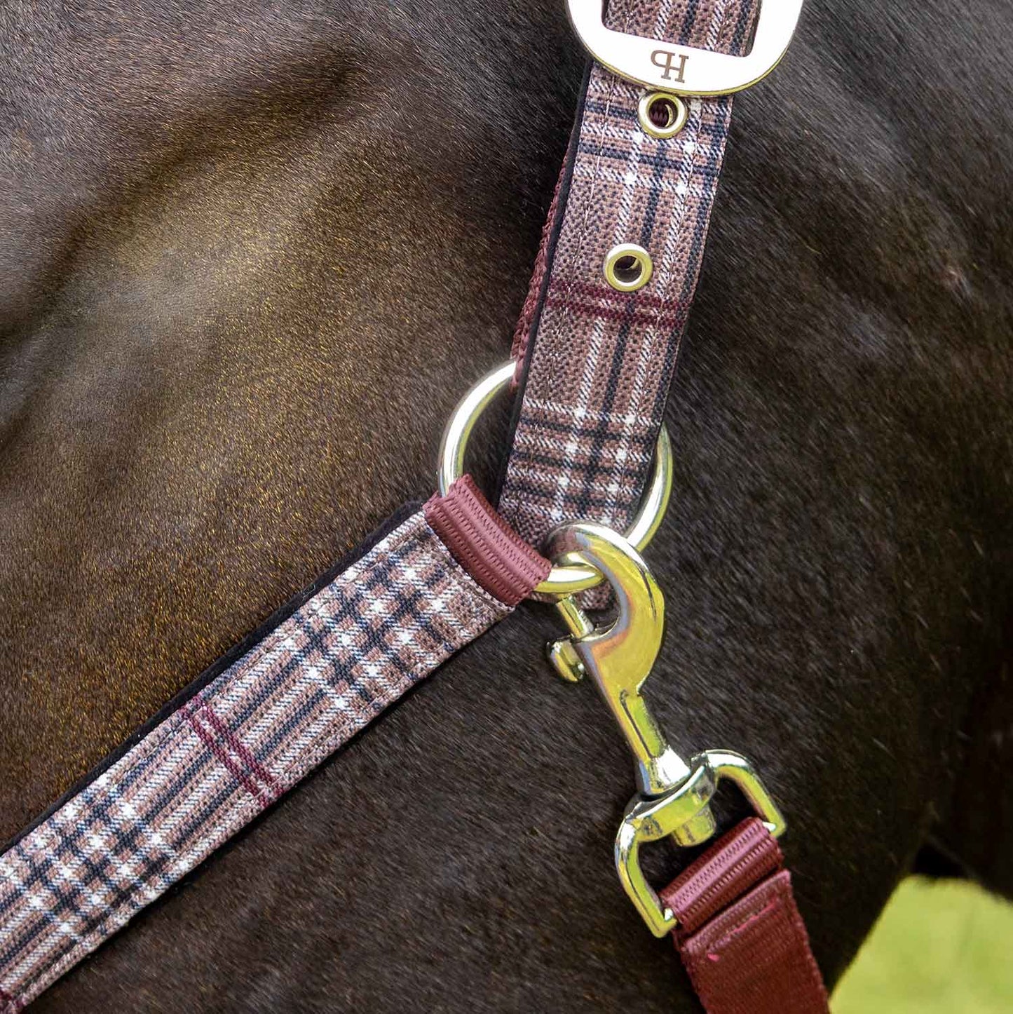 Jeffers Matching Horse Halter & Lead Rope 2 Piece Set, Full Size