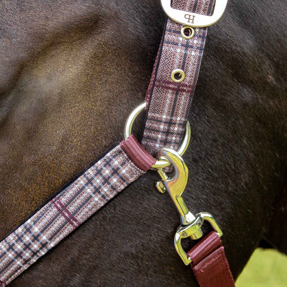 Jeffers Matching Horse Halter & Lead Rope 2 Piece Set, Full Size