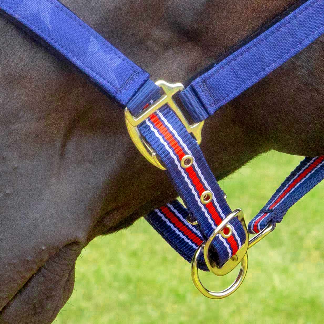 Jeffers Matching Horse Halter & Lead Rope 2 Piece Set, Full Size