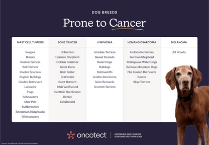 Oncotect Essential At-Home Dog Cancer Screening Test Kit