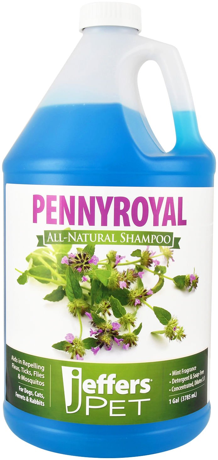 Jeffers Natural Flea & Tick Pennyroyal Pet Shampoo - Aids in Repelling Fleas, Ticks, Flies & Mosquitos