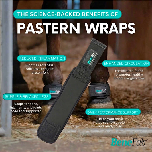 Therapeutic Pastern Wraps