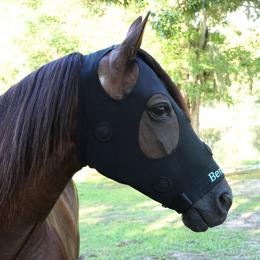 Rejuvenate SmartMask