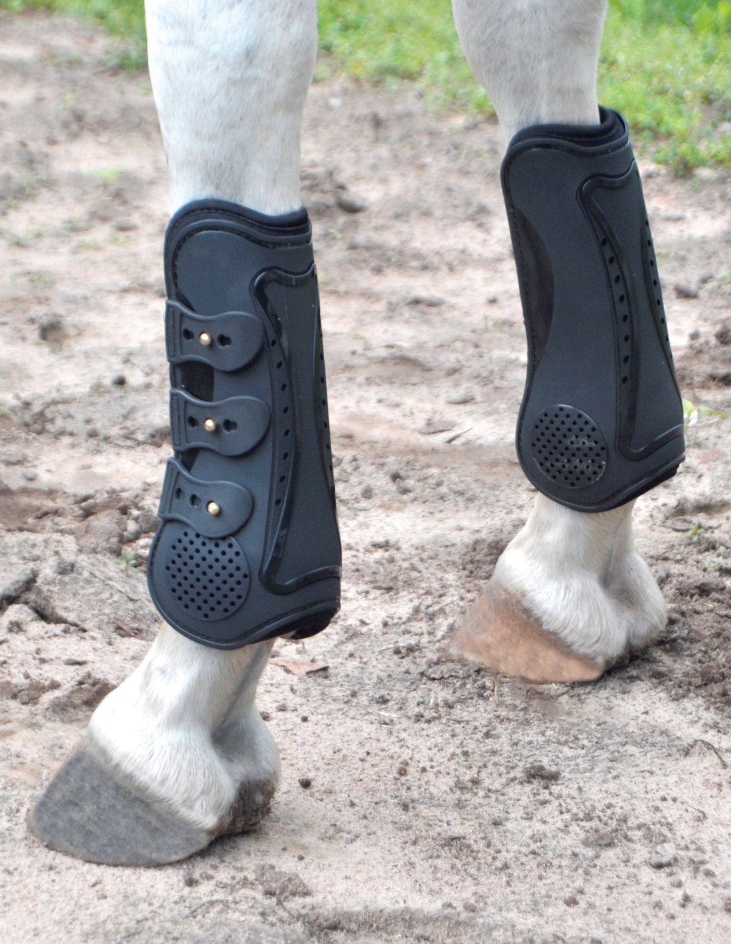 Jeffers Uniquely English Horse Tendon Boots, 2-Pack