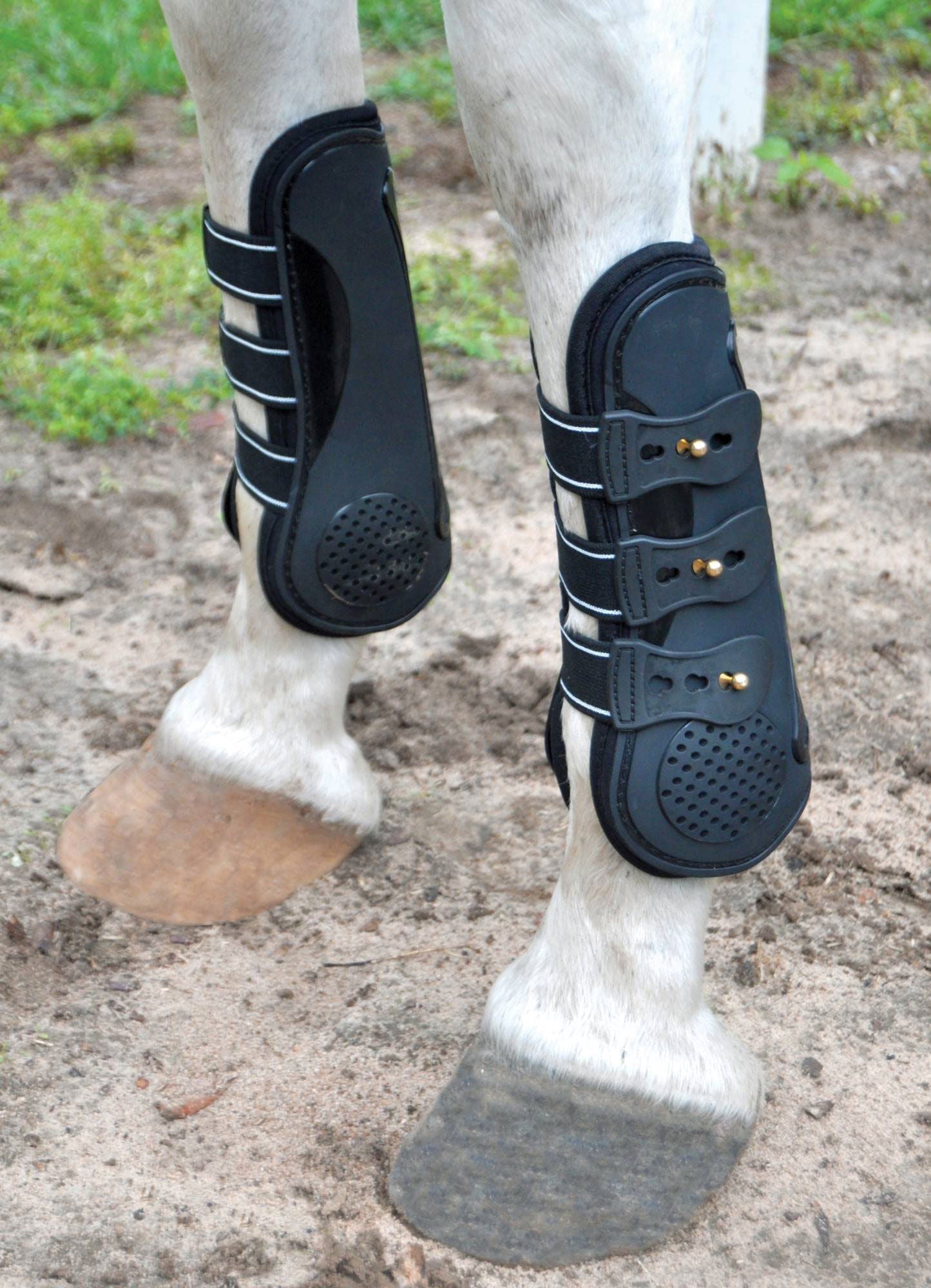 Jeffers Uniquely English Horse Tendon Boots, 2-Pack